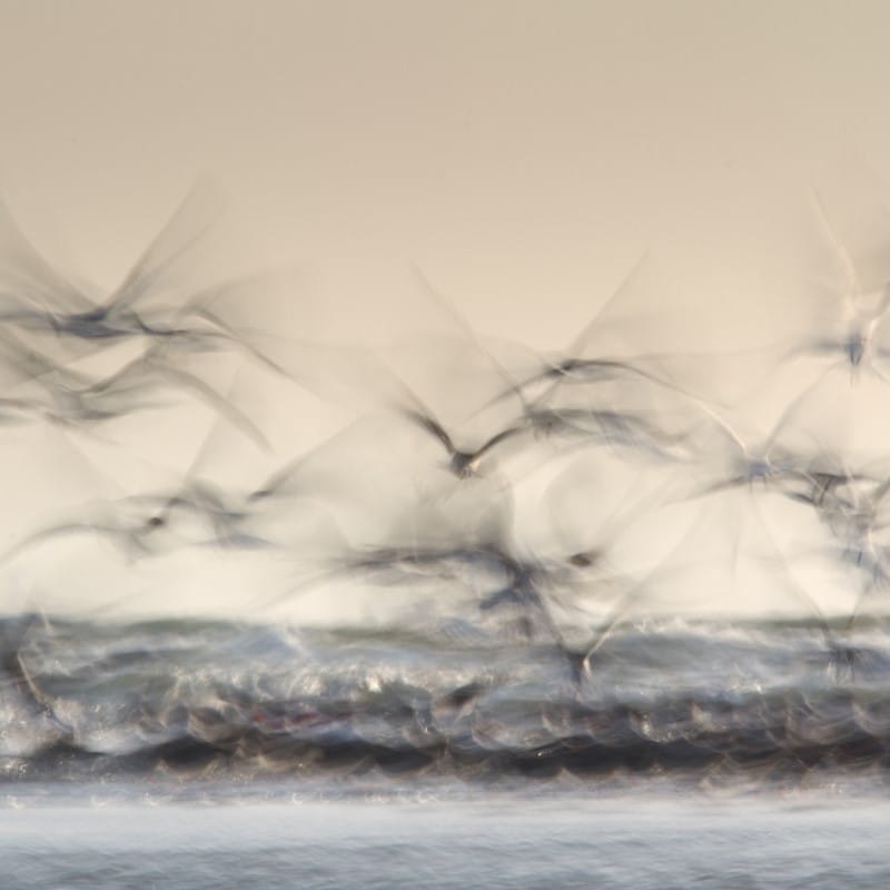 Irene Amiet Photographer