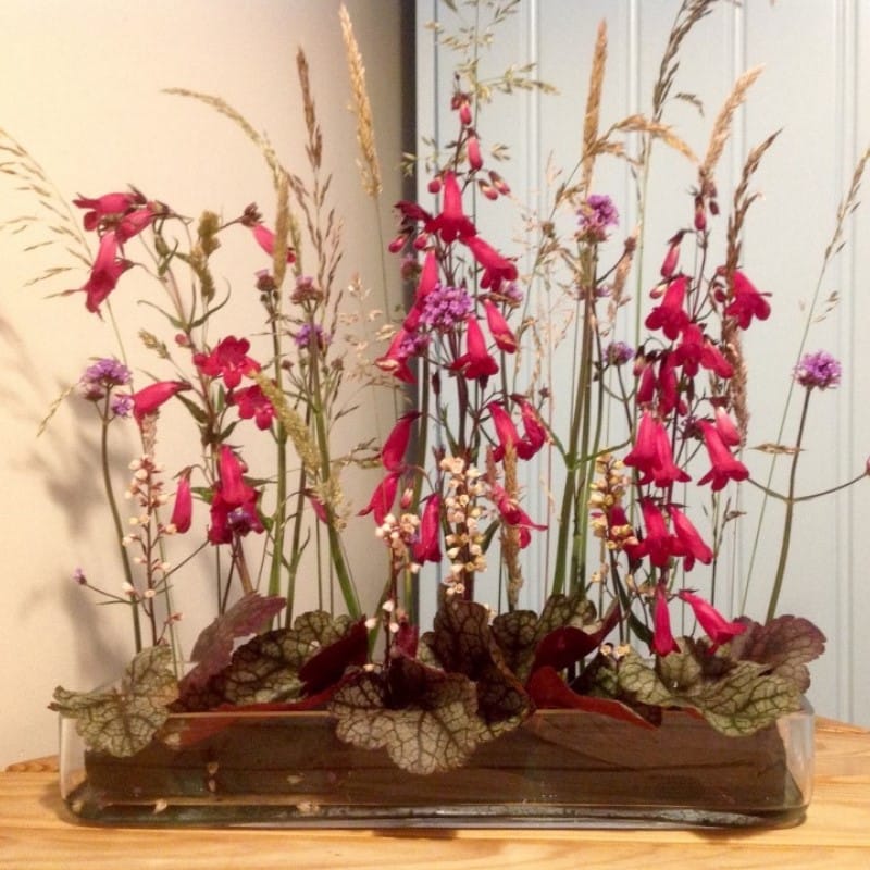 Creative Floral Design with Maxine Lord