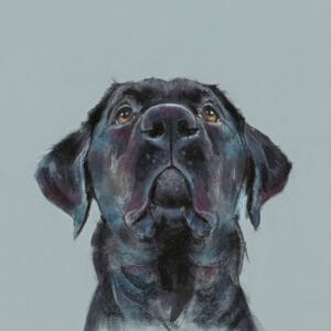 Nicky Litchfield, Hurst Green, Ribble Valley, Lancashire, Fine Art