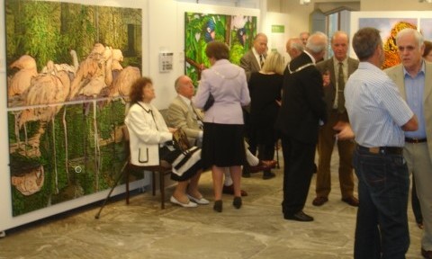 Stewards Gallery cropped