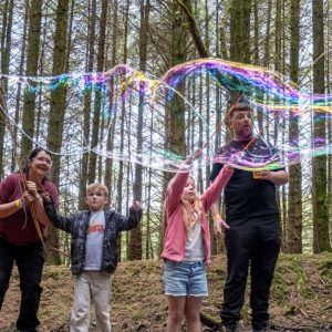 Seekout Music And Arts Festival