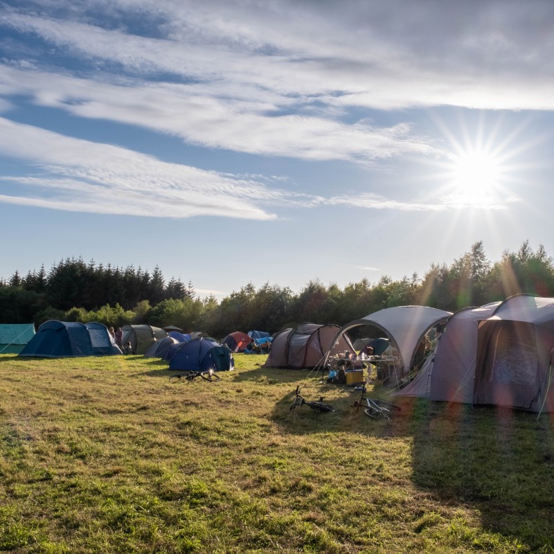 Seekout Music And Arts Festival