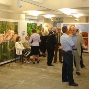 Stewards Gallery, Clitheroe, Lancashire UK, Gallery
