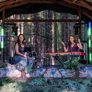 Seekout Music And Arts Festival, Event, Music, Gisburn Forest, Ribble Valley, Lancashire, UK